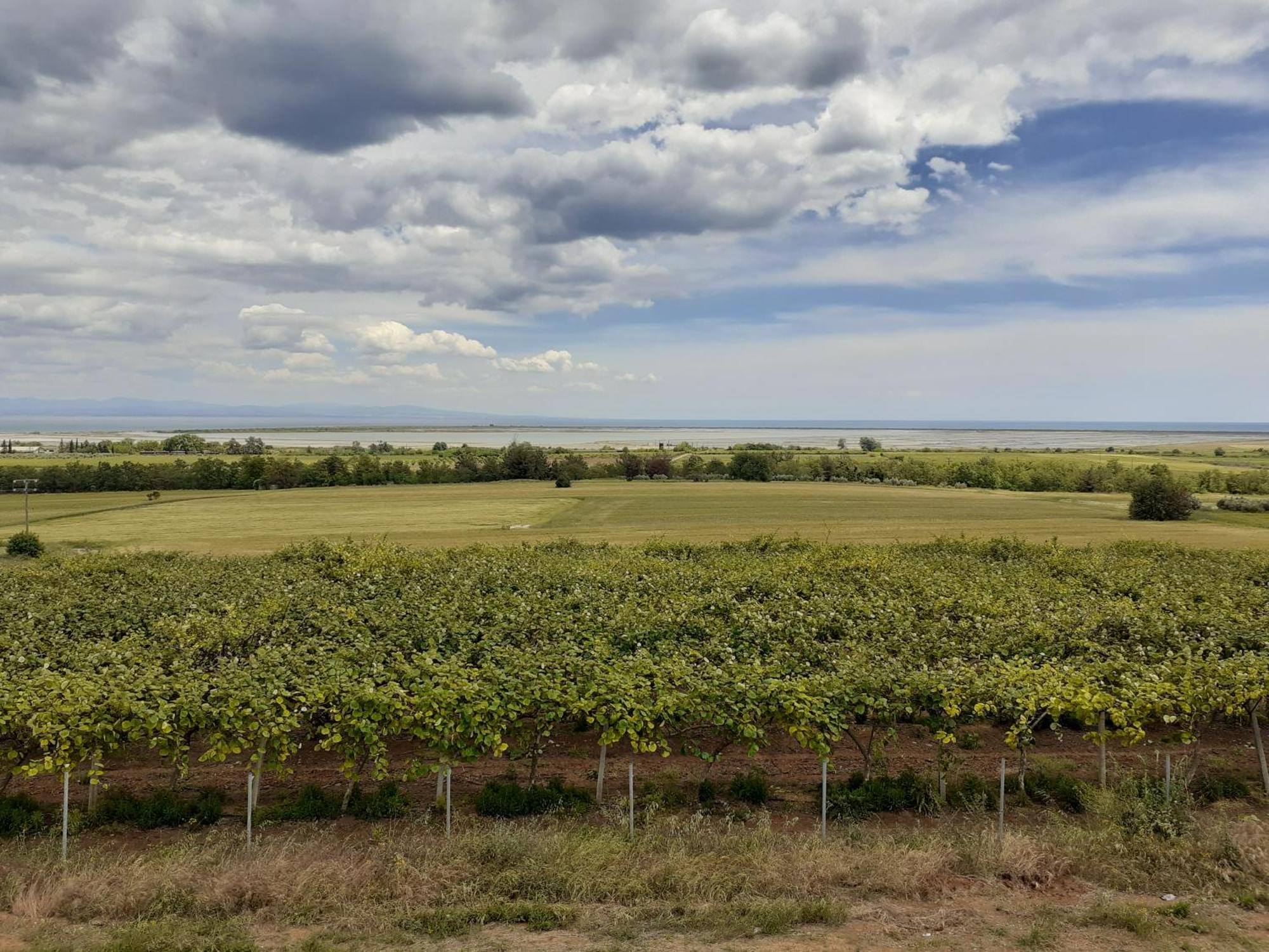 E Mare Villa Skala Alykis